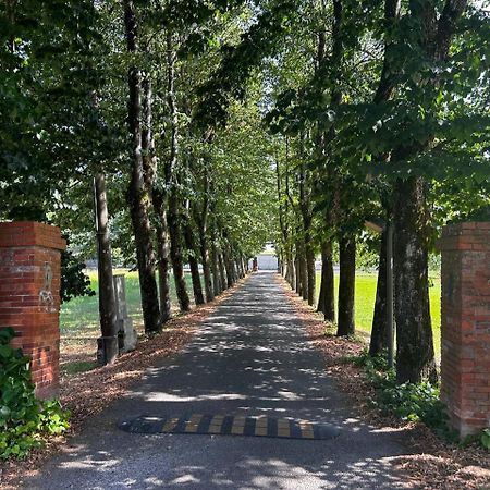 Апартаменты Casa Tea Лукка Экстерьер фото